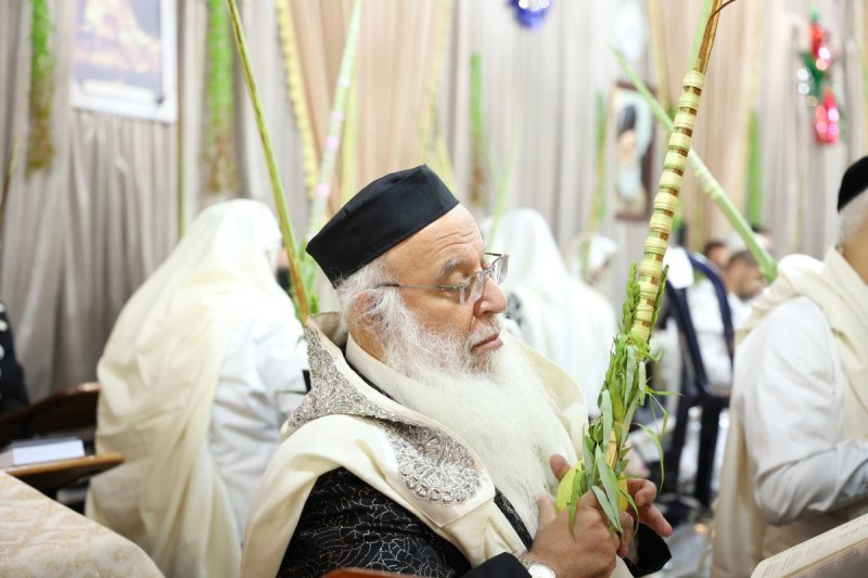 דוד ארזני