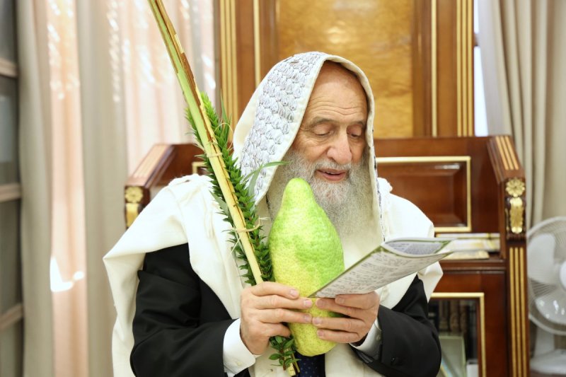 דוד ארזני
