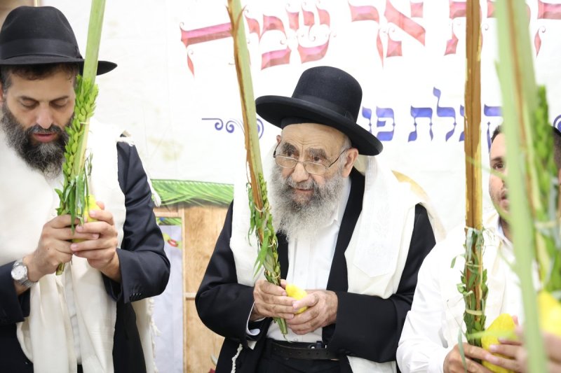 דוד ארזני