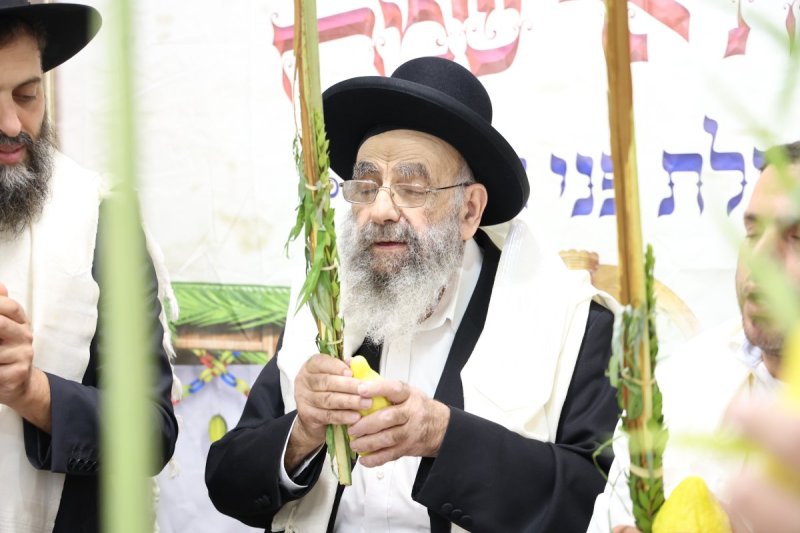 דוד ארזני