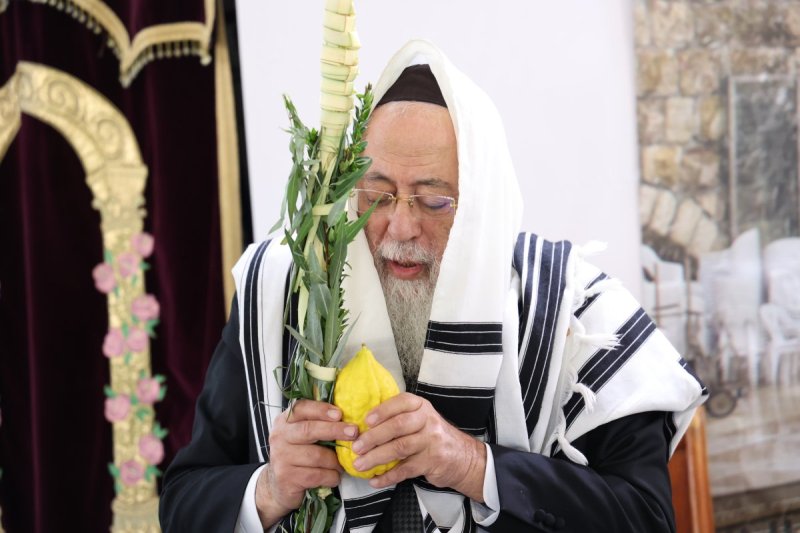 דוד ארזני
