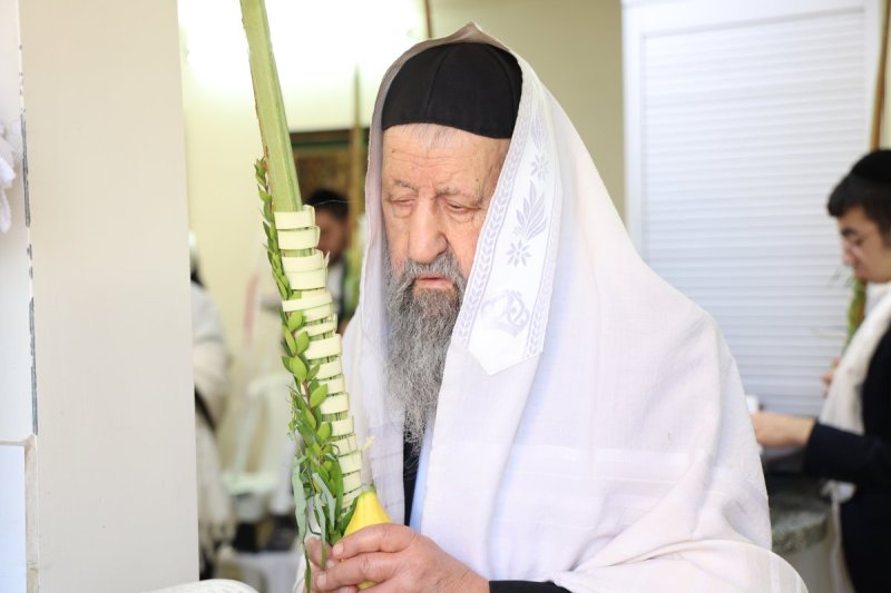 דוד ארזני