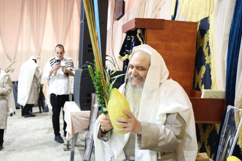 דוד ארזני