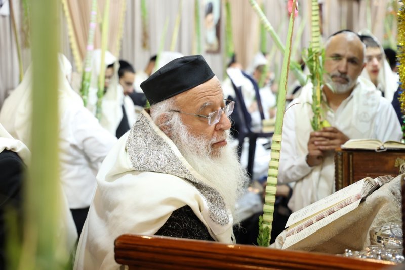דוד ארזני