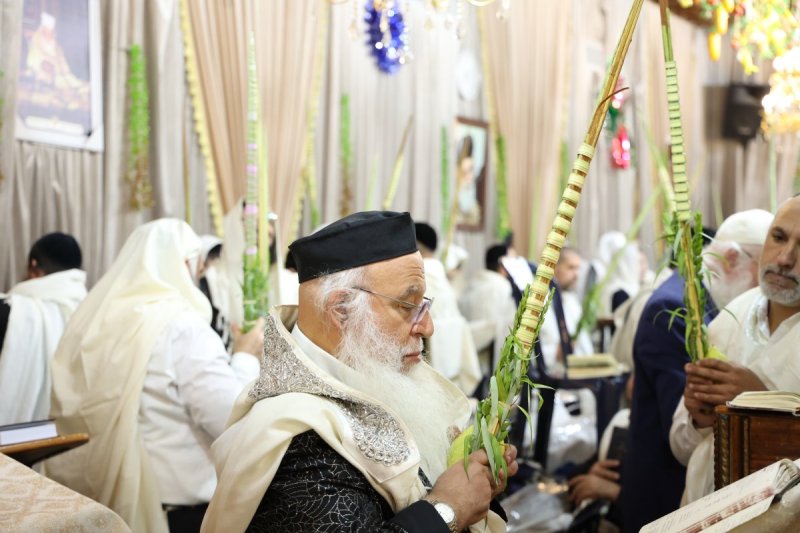 דוד ארזני