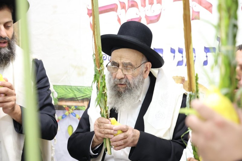 דוד ארזני