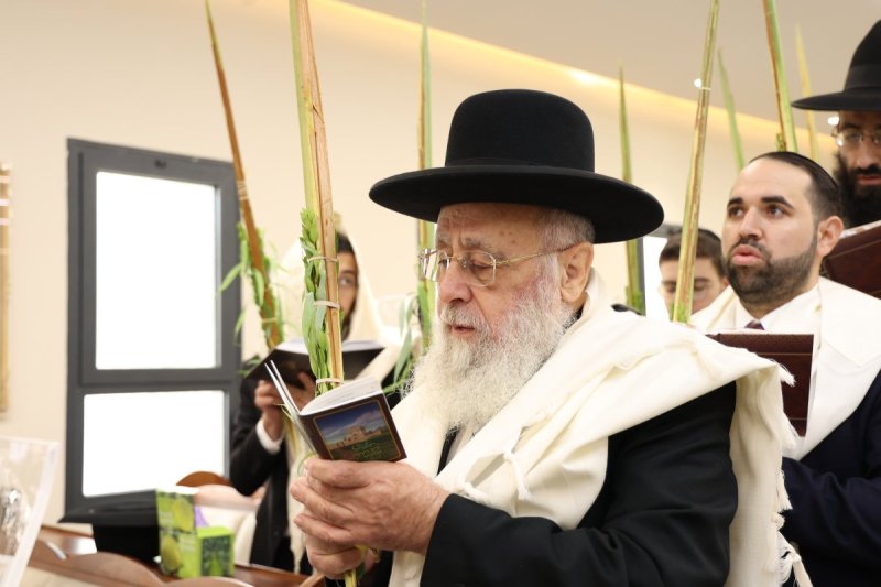 דוד ארזני