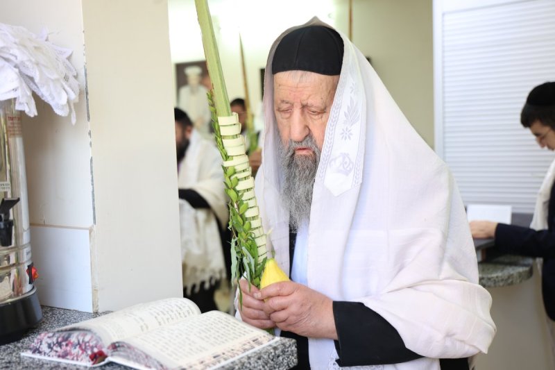 דוד ארזני