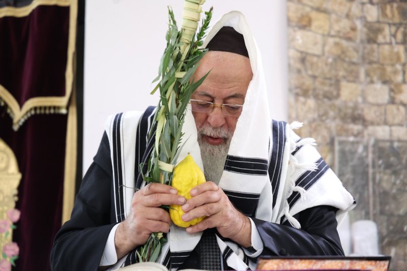 דוד ארזני