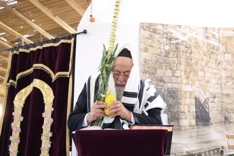 דוד ארזני