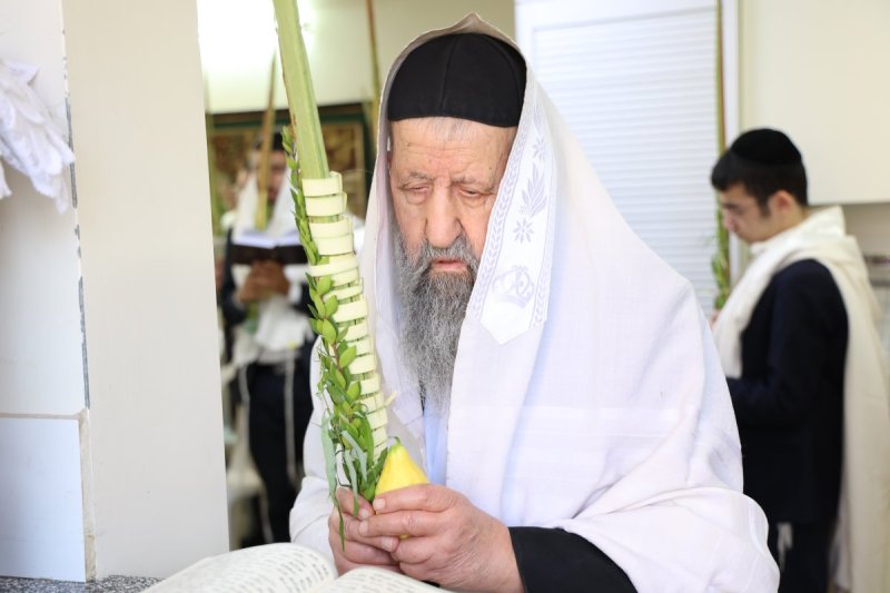 דוד ארזני