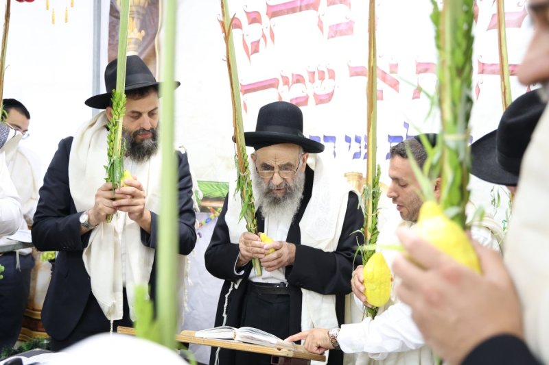 דוד ארזני
