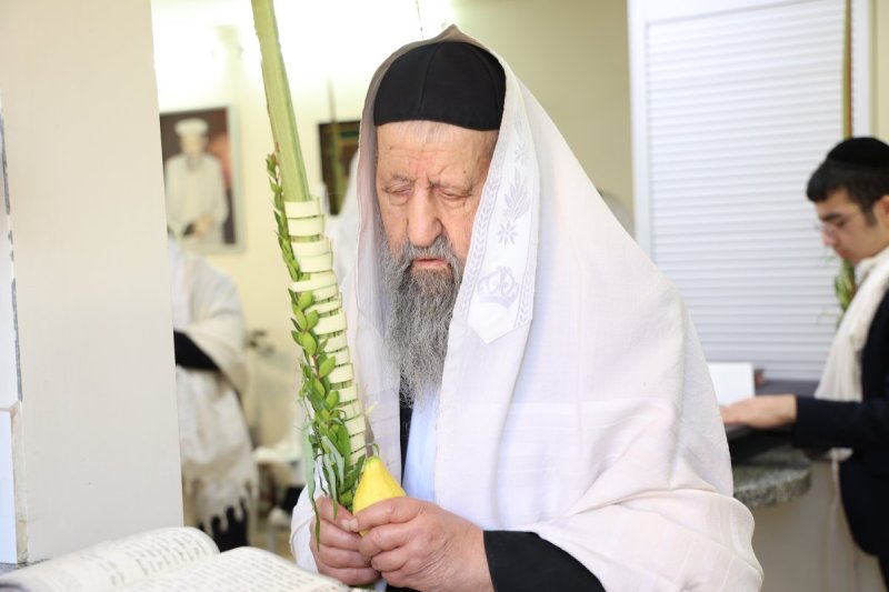 דוד ארזני