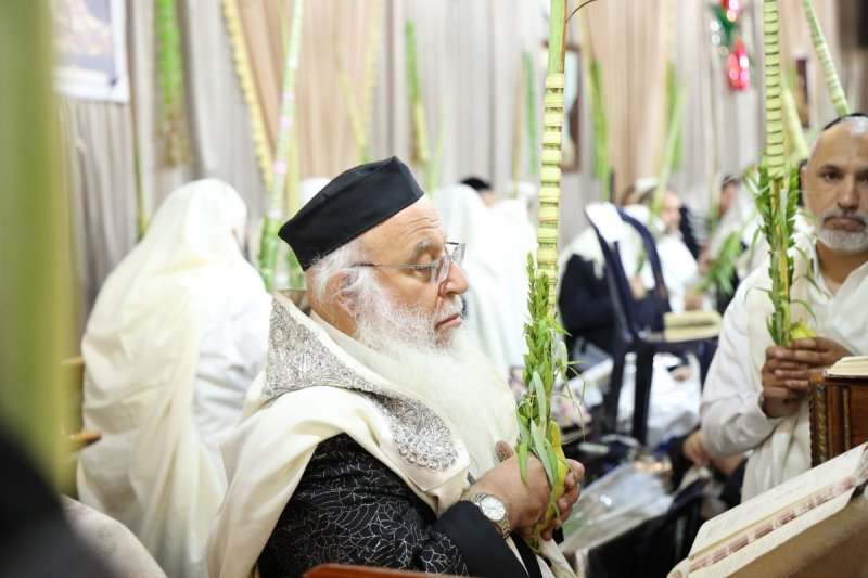 דוד ארזני