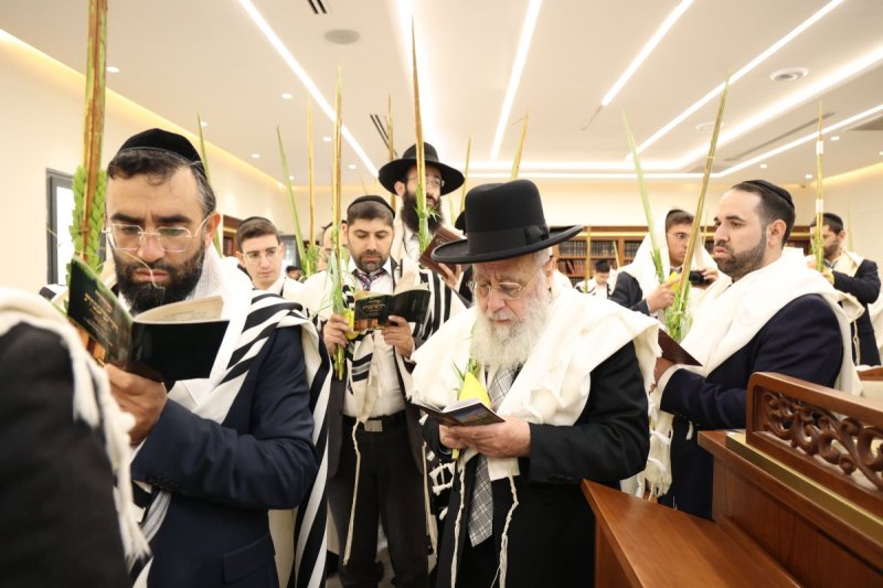 דוד ארזני