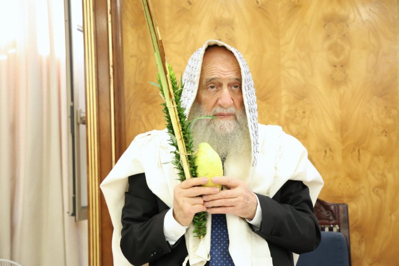 דוד ארזני