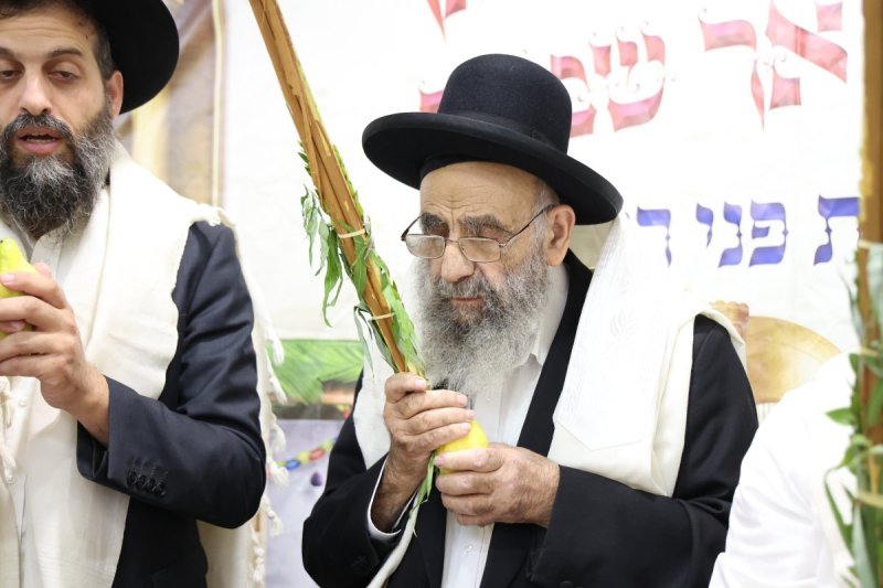 דוד ארזני