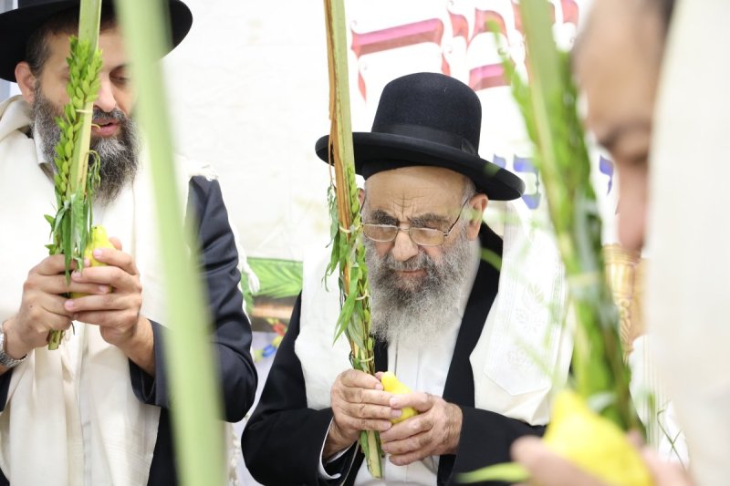 דוד ארזני