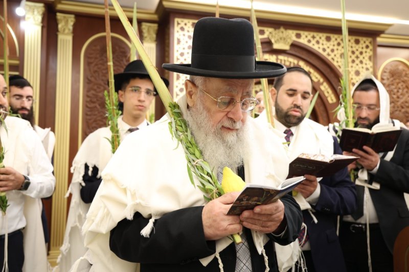 דוד ארזני