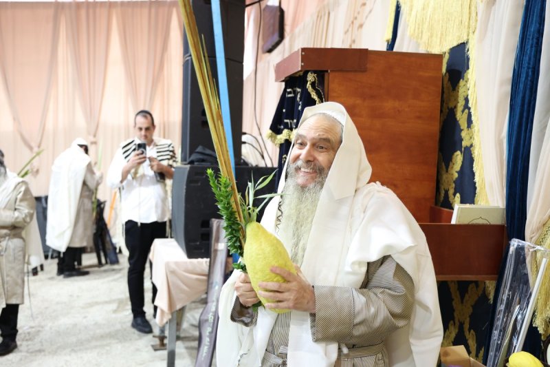 דוד ארזני