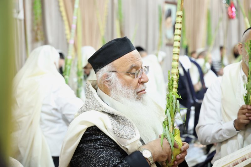 דוד ארזני