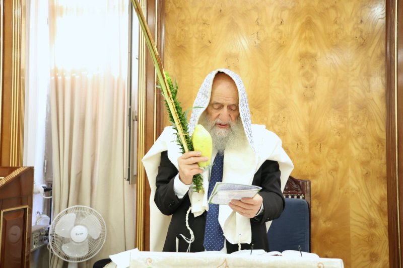 דוד ארזני