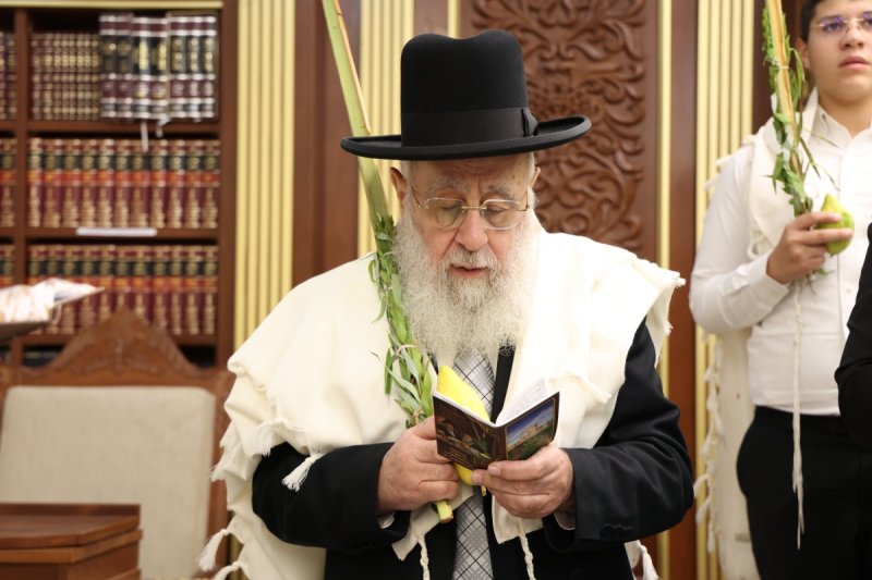 דוד ארזני