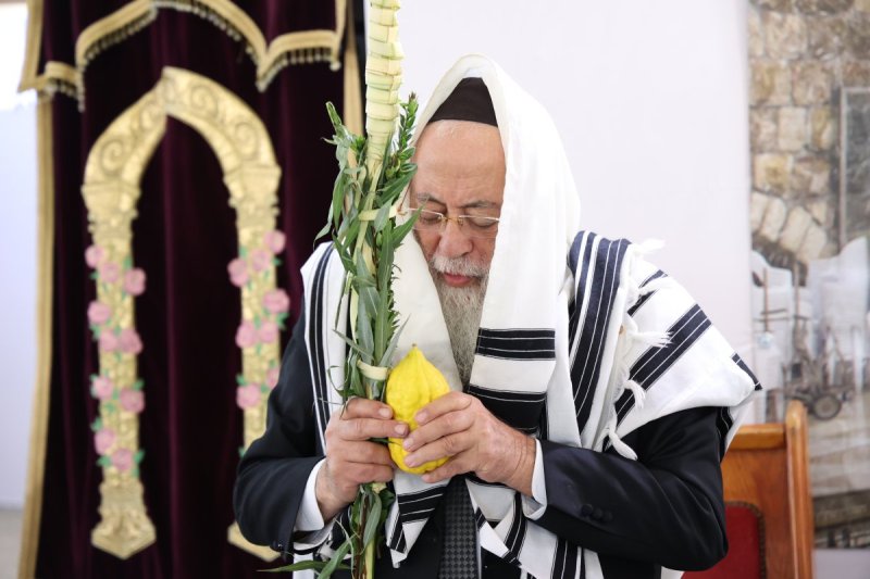 דוד ארזני