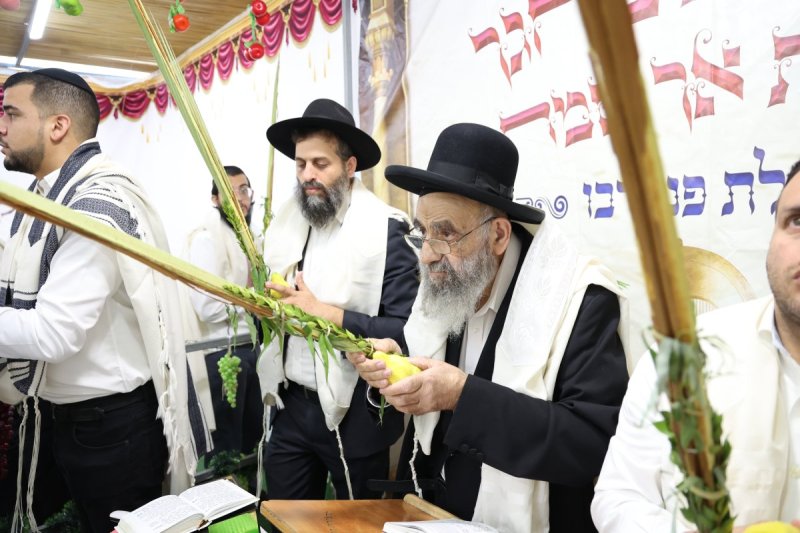 דוד ארזני