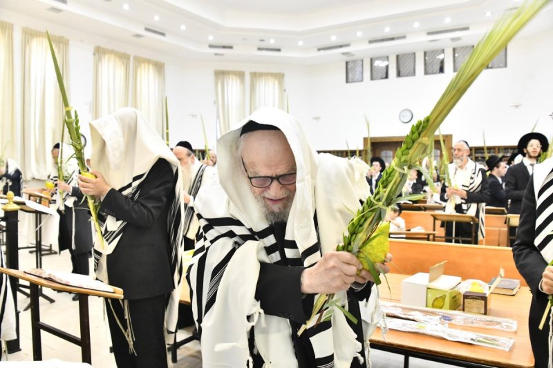 שוקי לרר