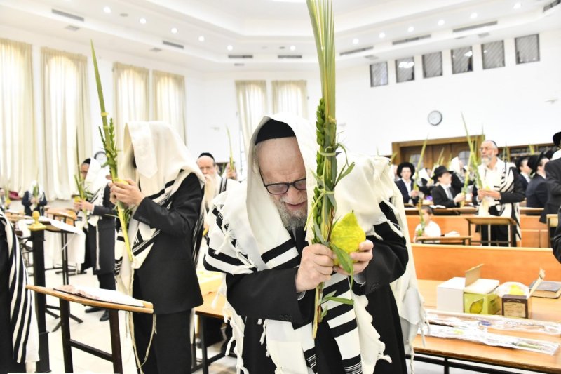 שוקי לרר