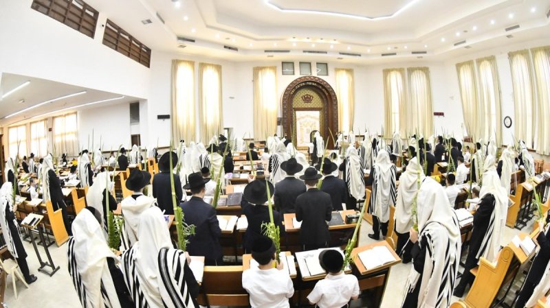 שוקי לרר