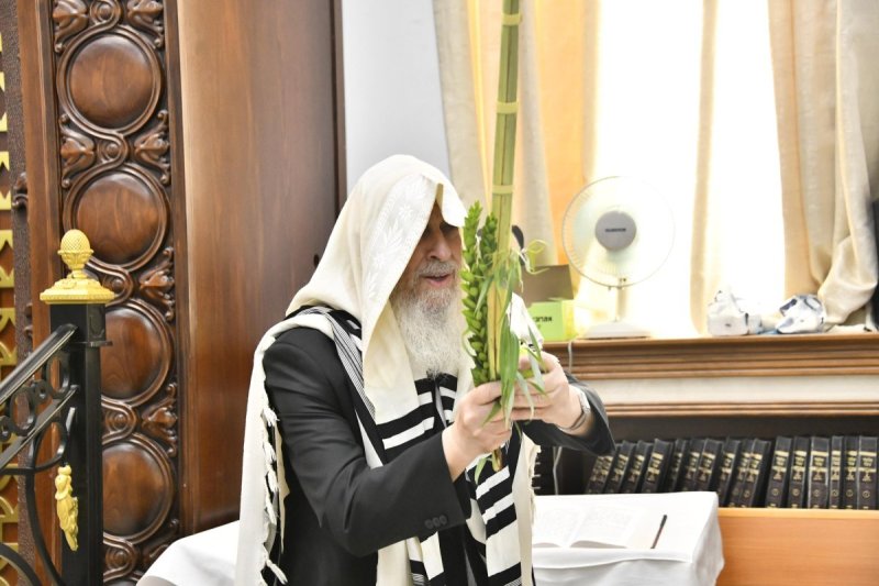 שוקי לרר