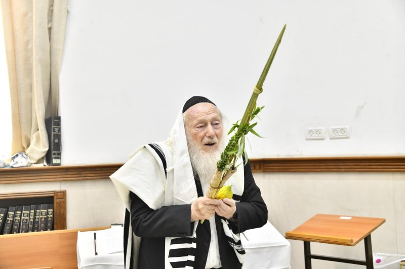 שוקי לרר