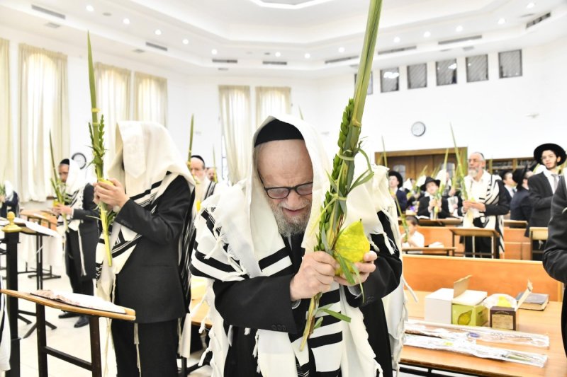 שוקי לרר