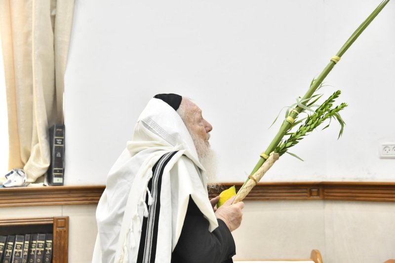 שוקי לרר