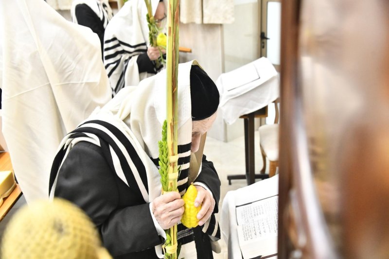 שוקי לרר