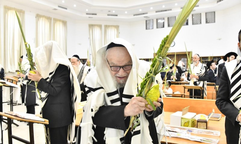 גבעת סלבודקה: עבודת הנענועים של ראשי הישיבה