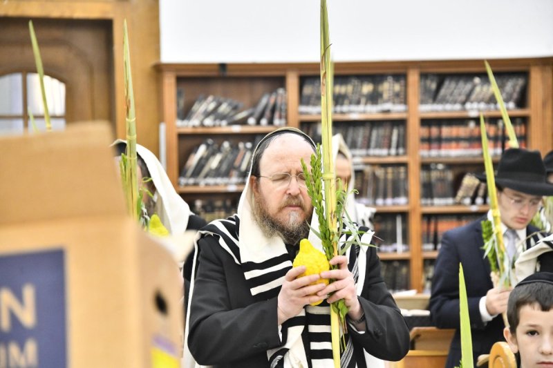 שוקי לרר