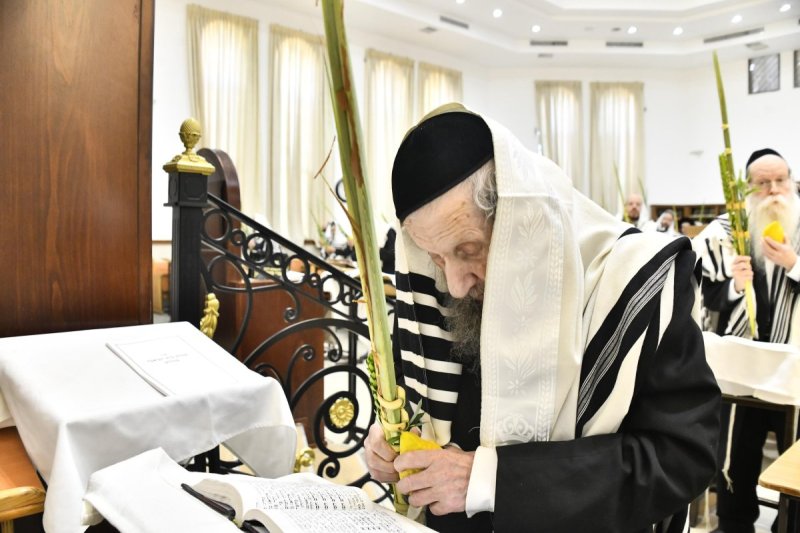 שוקי לרר