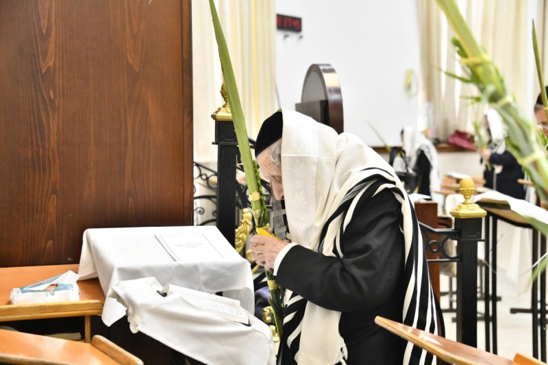 שוקי לרר