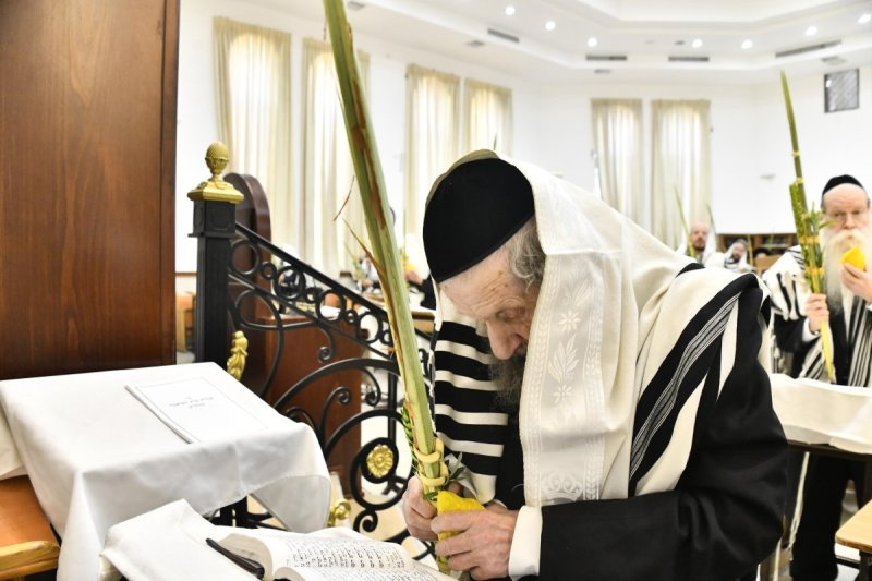 שוקי לרר