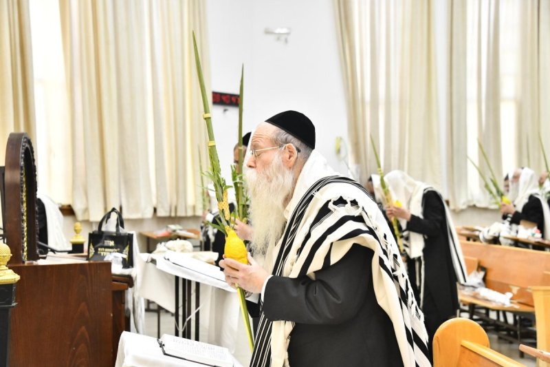 שוקי לרר