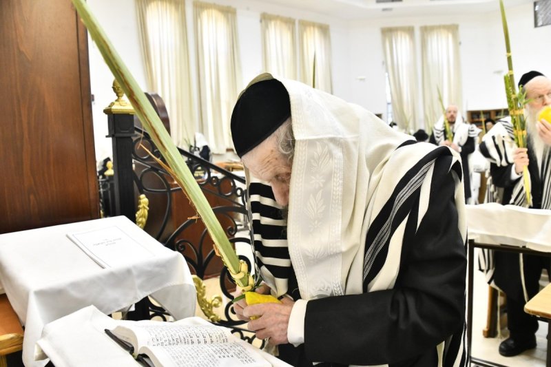 שוקי לרר