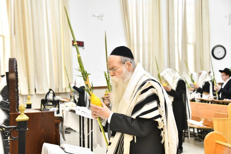 שוקי לרר