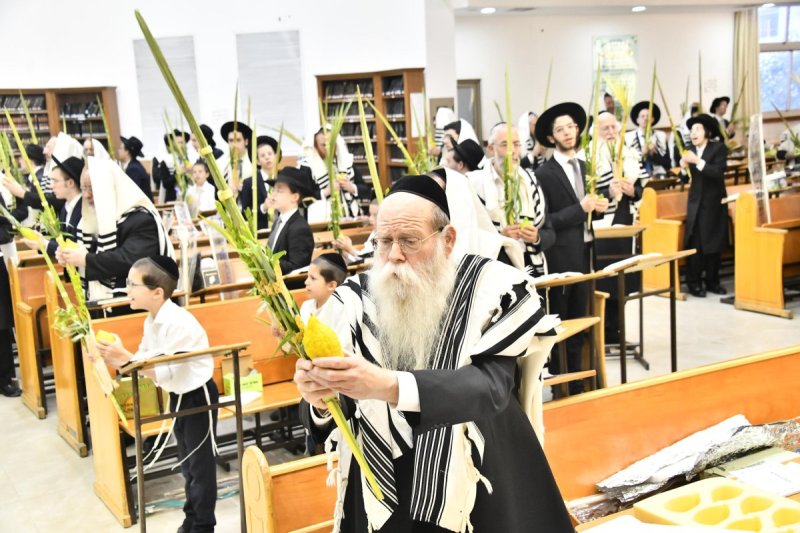 שוקי לרר