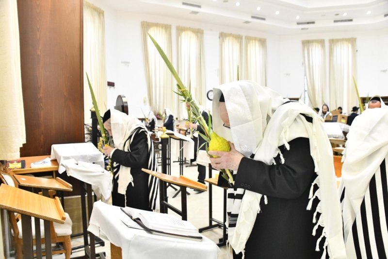 שוקי לרר