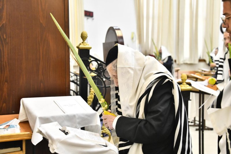 שוקי לרר