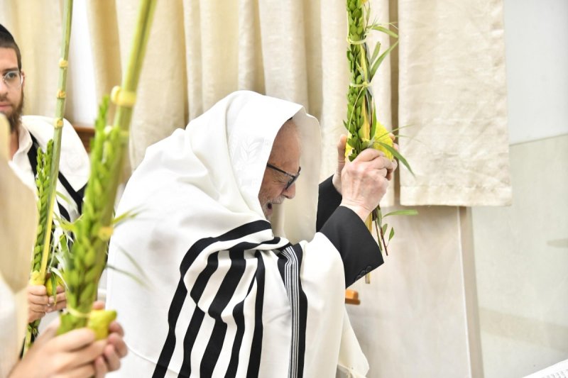 שוקי לרר