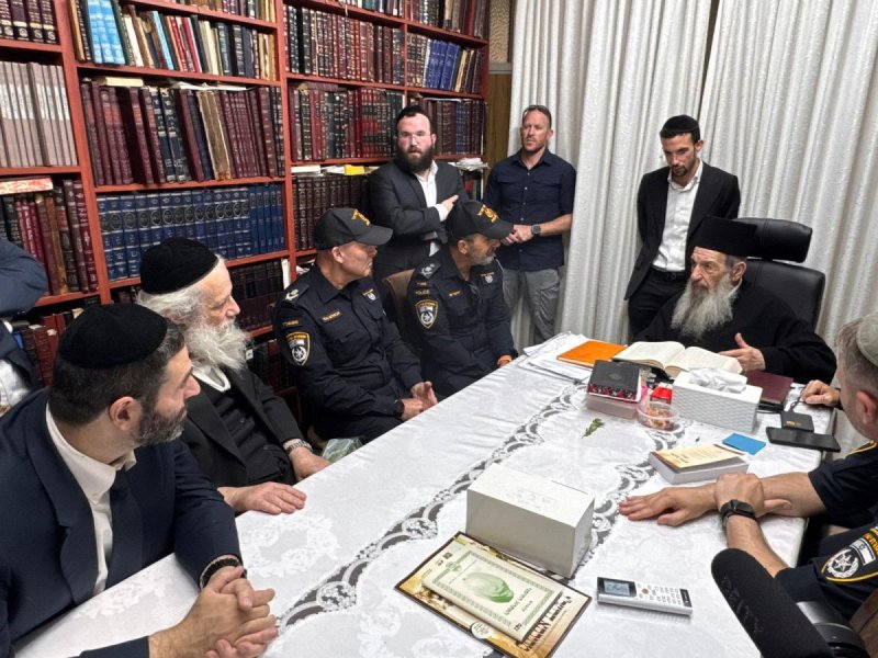 נועם אליהו